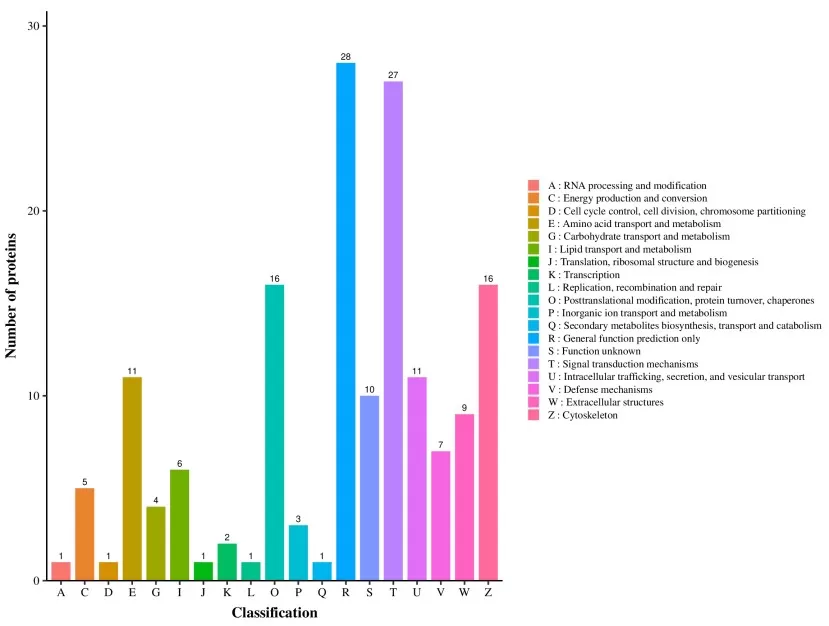 COG Functional Classification of Differentially Expressed Proteins